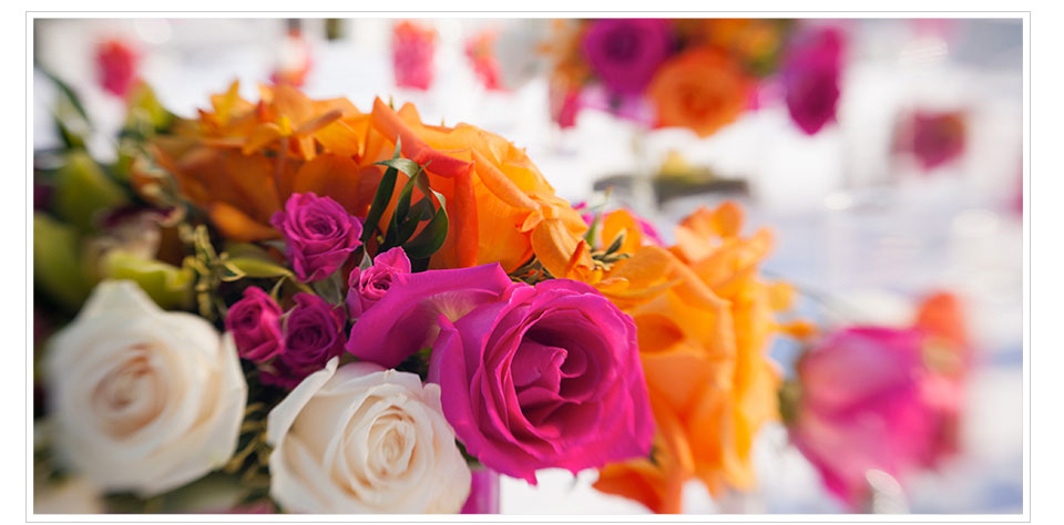 Slideshow Image 3